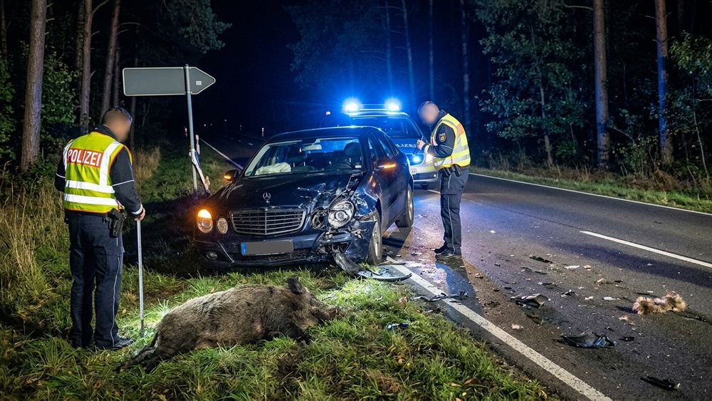 Wildunfall bei Neubukow verursacht hohen Sachschaden